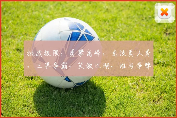 挑战极限，勇攀高峰，竞技真人秀，三界争霸，笑傲江湖，谁与争锋，